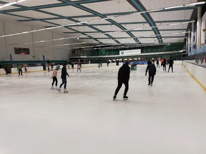 Lodowisko Icemania