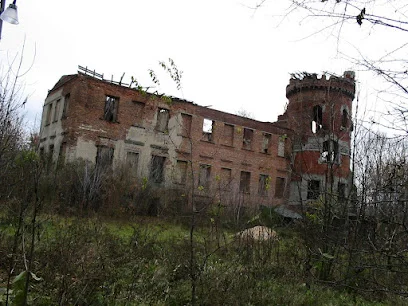 Ruiny Pałacu Grodzickich